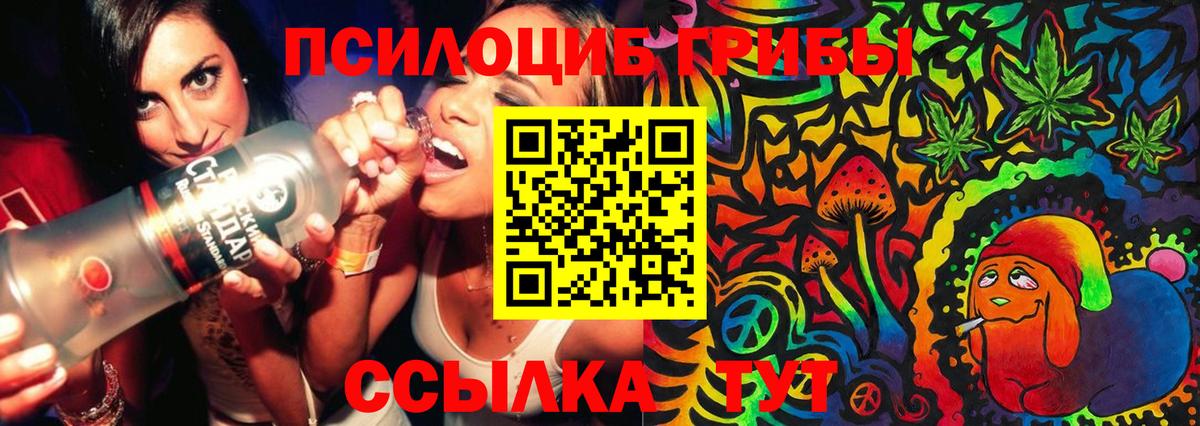 Псилоцибиновые грибы Psilocybe Зеленодольск