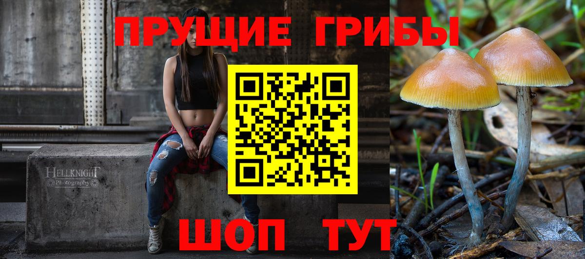 Галлюциногенные грибы Psilocybe  Галлюциногенные грибы мицелий  продажа наркотиков  Вход с VPN  Зеленодольск 